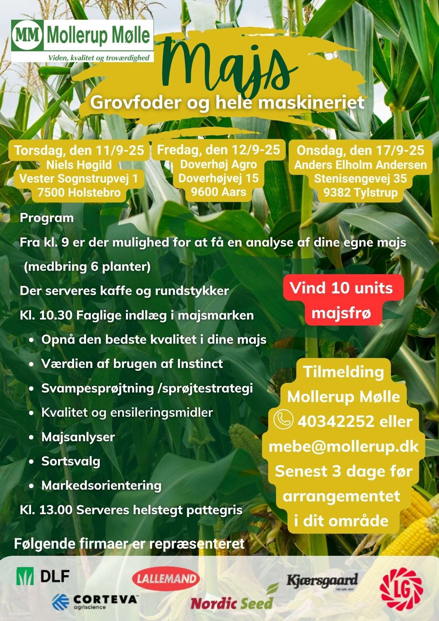 indbydelse majs, grovfoder og hele maskineriet (6)