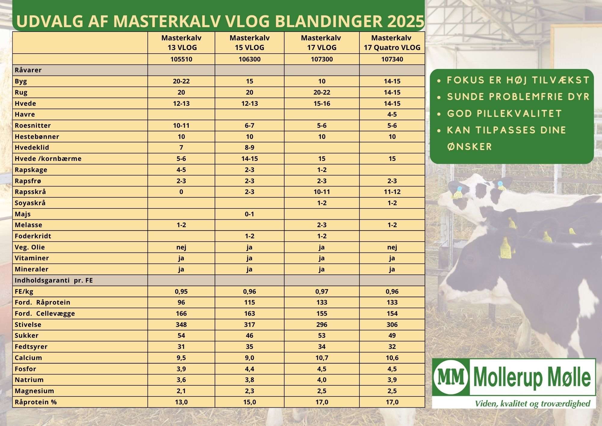 mm masterkalv vlog