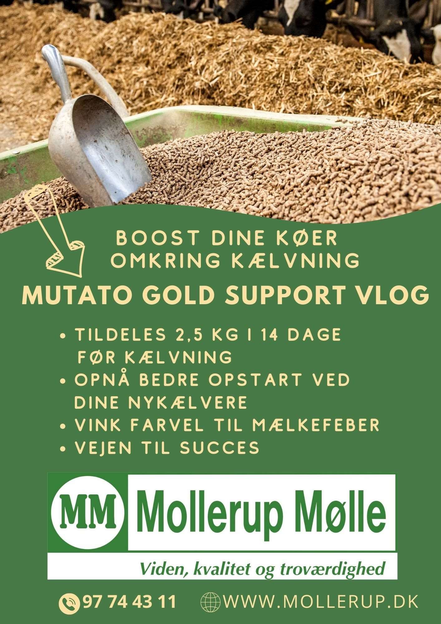 mollerup mølle gold support