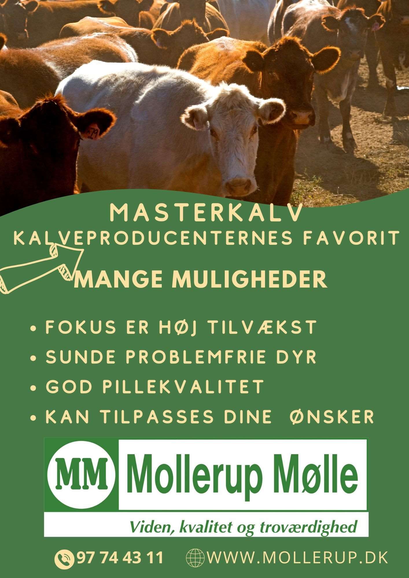 mollerup mølle masterkalv