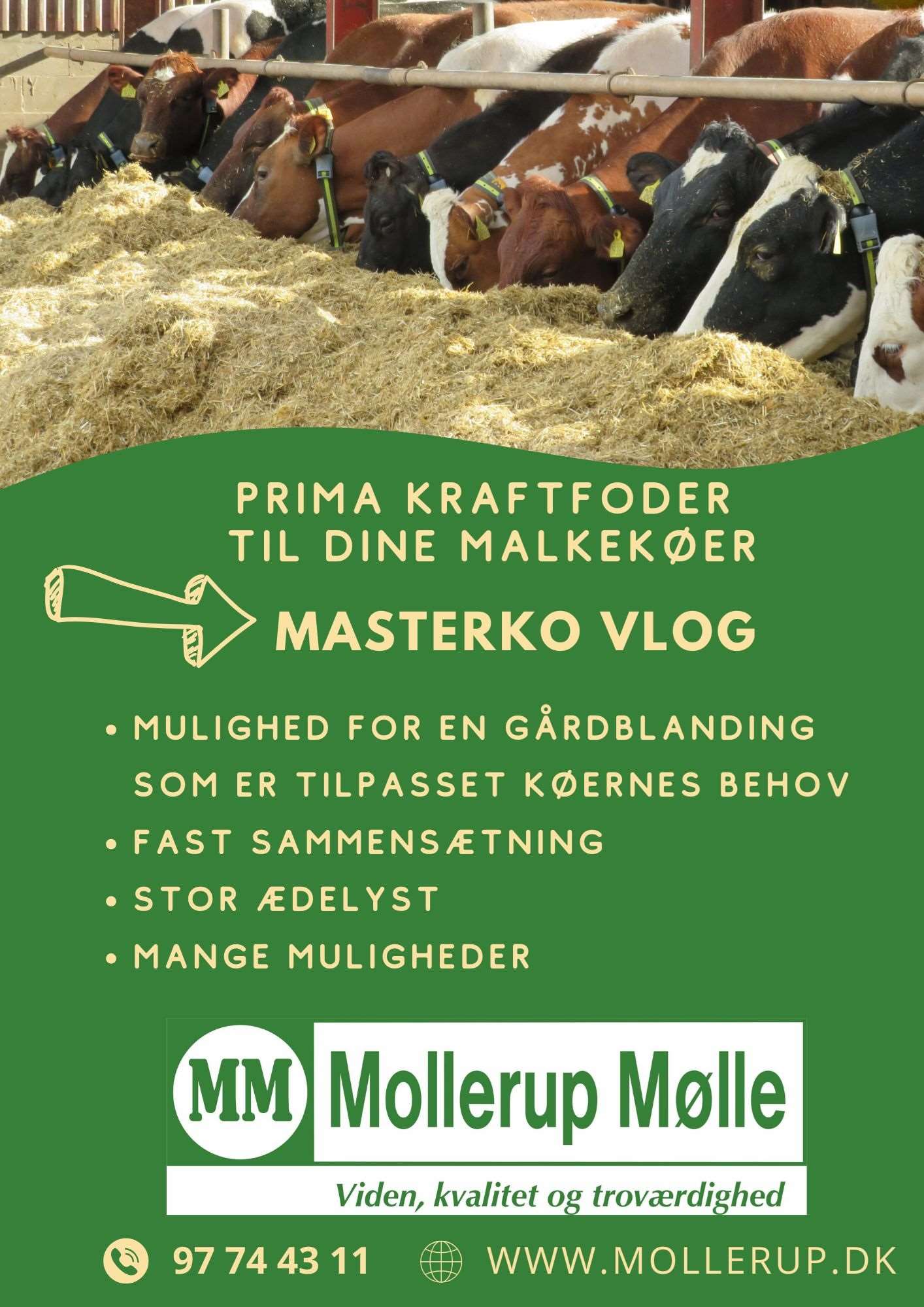 mollerup mølle masterko