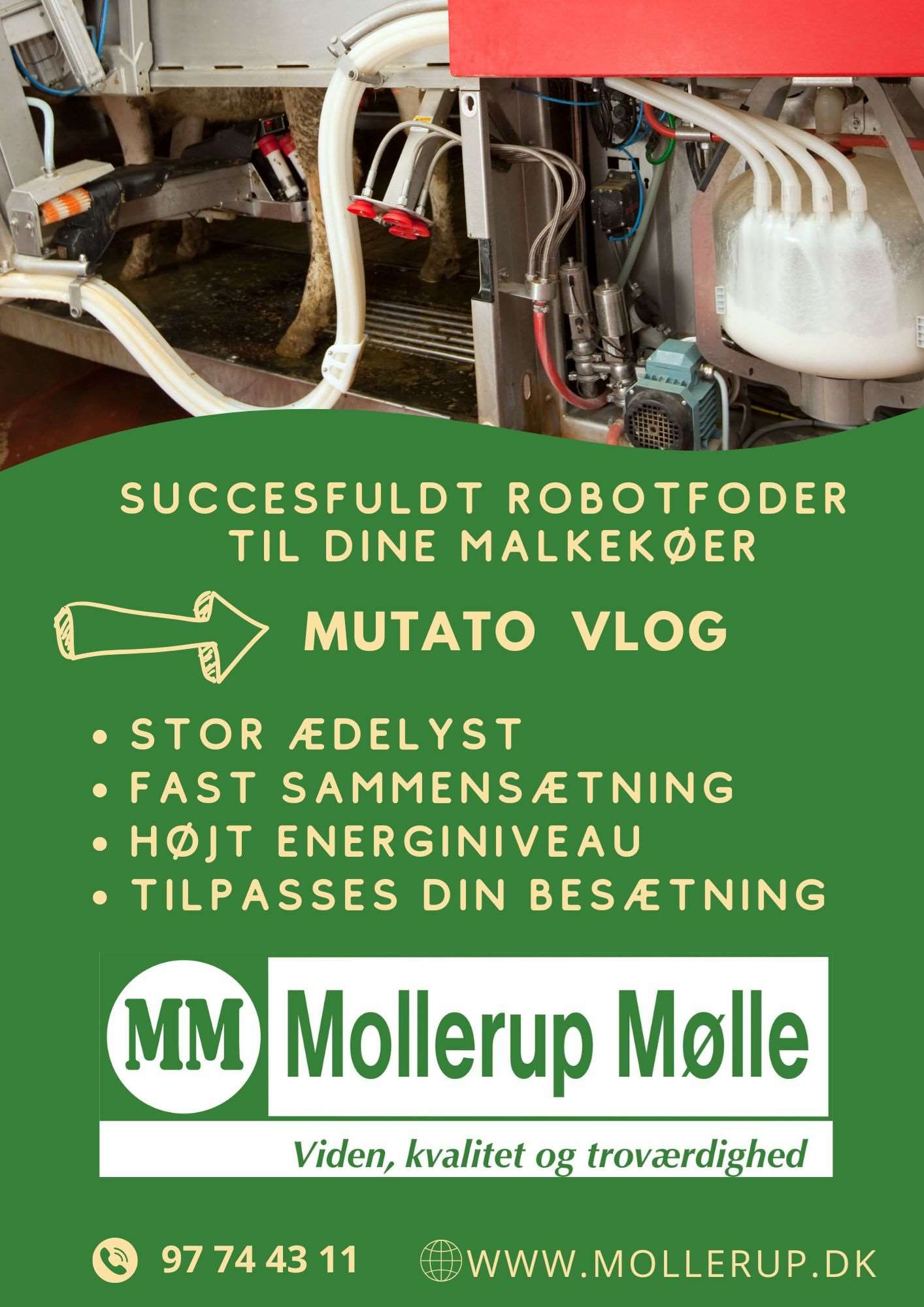 mollerup mølle mutato