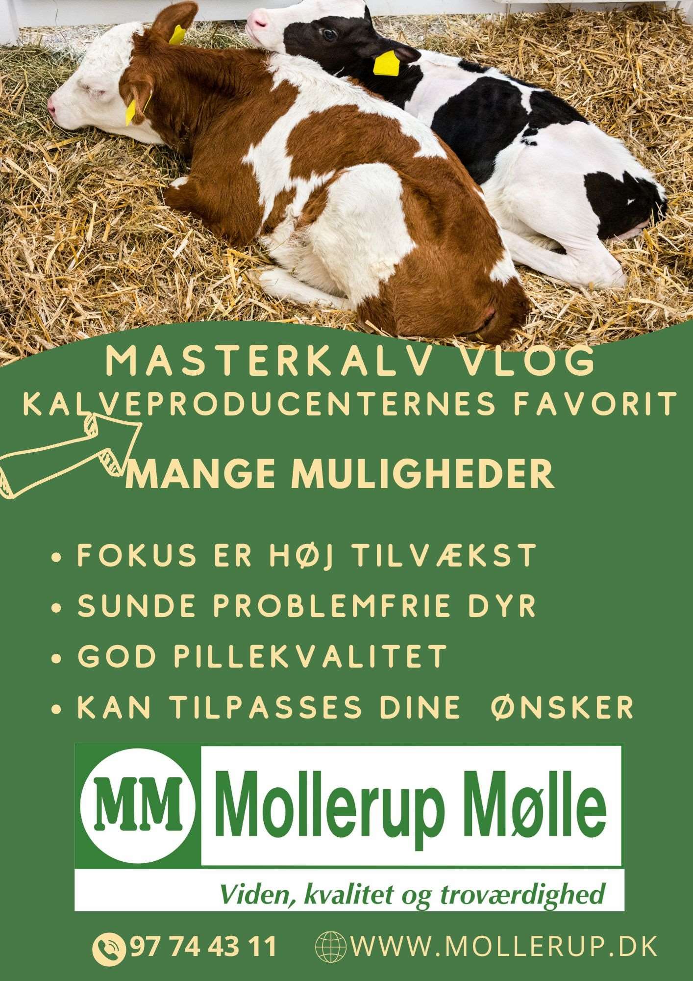 produktkort  masterkalv vlog